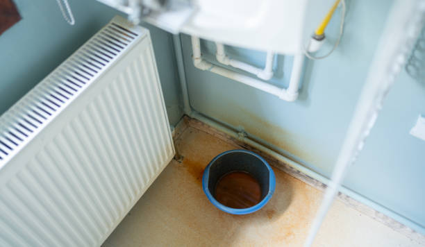Best Water damage cleanup near me  in Caoncito, NM