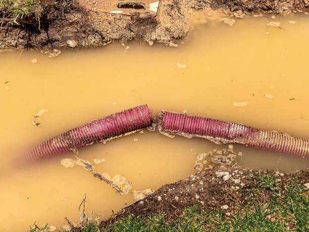Best Basement water damage restoration  in Caoncito, NM